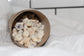 Grains de baobab
