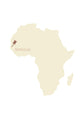 Grains de baobab